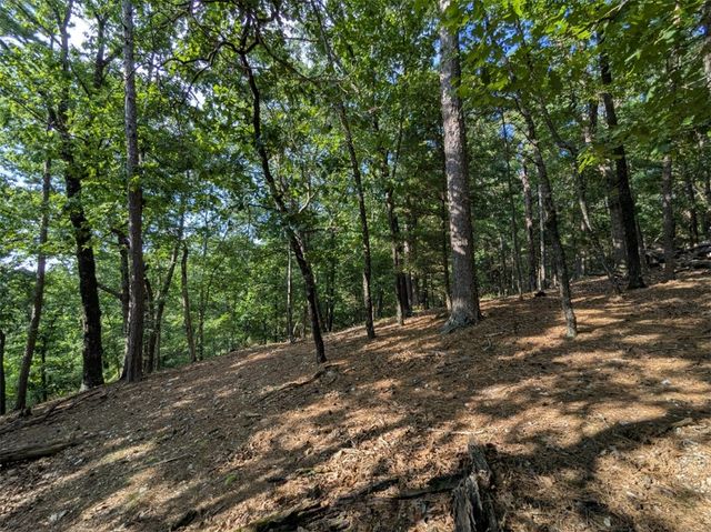 TBD E Mountain Street, Eureka Springs, AR 72632
