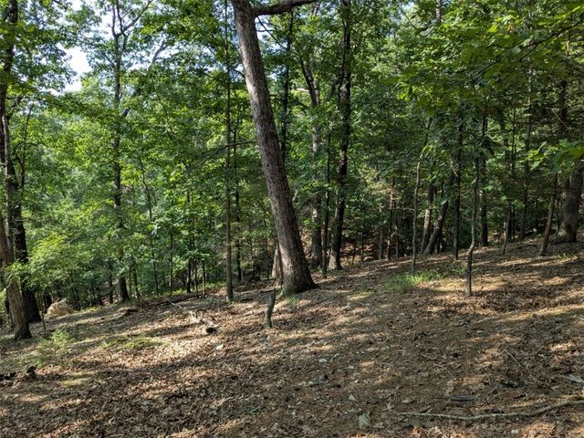 TBD E Mountain Street, Eureka Springs, AR 72632