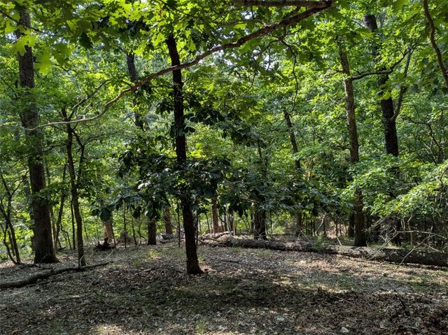 TBD E Mountain Street, Eureka Springs, AR 72632