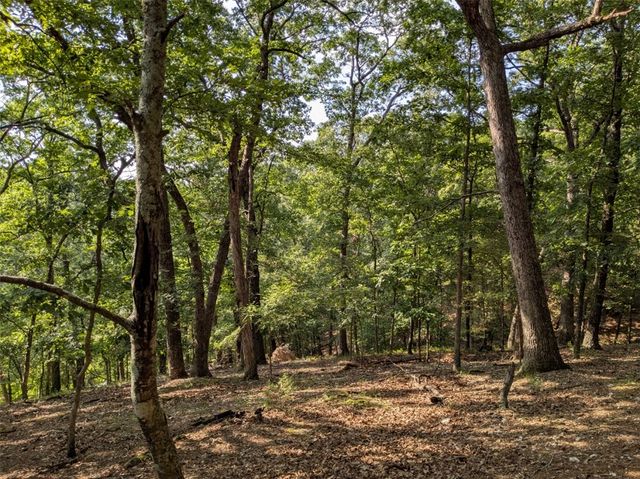 TBD E Mountain Street, Eureka Springs, AR 72632