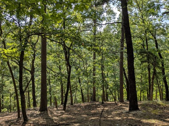 TBD E Mountain Street, Eureka Springs, AR 72632