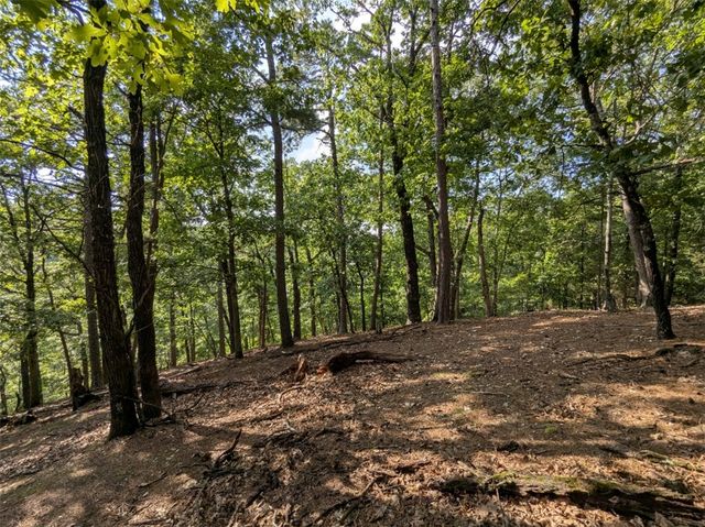 TBD E Mountain Street, Eureka Springs, AR 72632