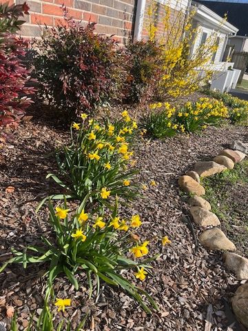 202 Allendale Blvd, Mcminnville, TN 37110