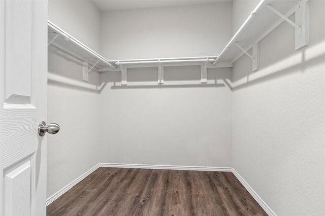 21079 Wenze Lane, New Caney, TX 77357