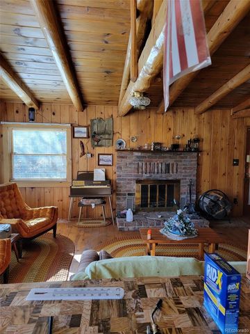 279 Antelope Road, Leadville, CO 80461