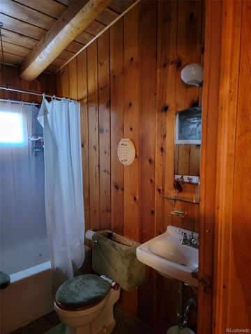 279 Antelope Road, Leadville, CO 80461