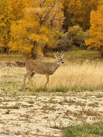915 Point of Rocks Road, Whitehall, MT 59759