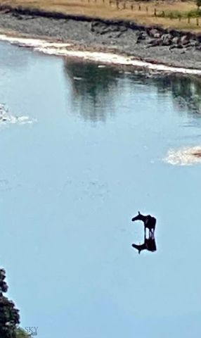 915 Point of Rocks Road, Whitehall, MT 59759