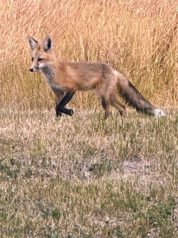 915 Point of Rocks Road, Whitehall, MT 59759