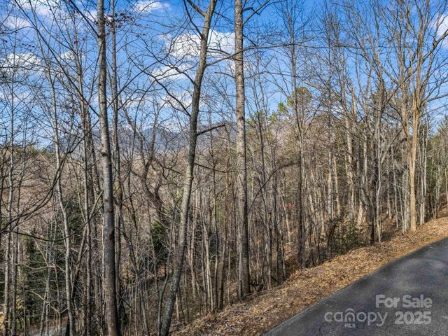 0000 Holmes Road, Lake Lure, NC 28746