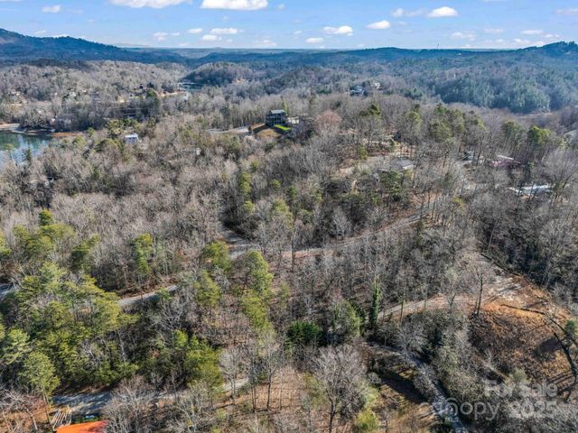 0000 Holmes Road, Lake Lure, NC 28746