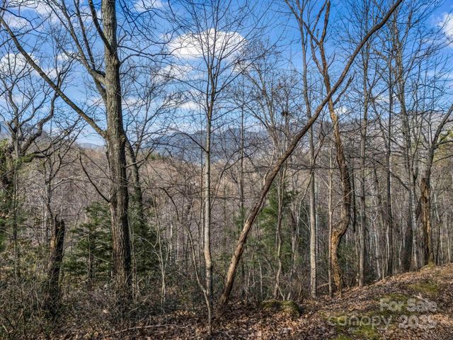 0000 Holmes Road, Lake Lure, NC 28746