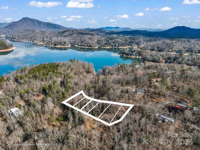 0000 Holmes Road, Lake Lure, NC 28746