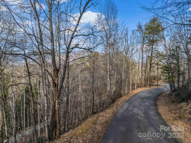 0000 Holmes Road, Lake Lure, NC 28746
