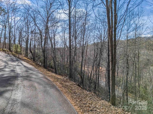 0000 Holmes Road, Lake Lure, NC 28746