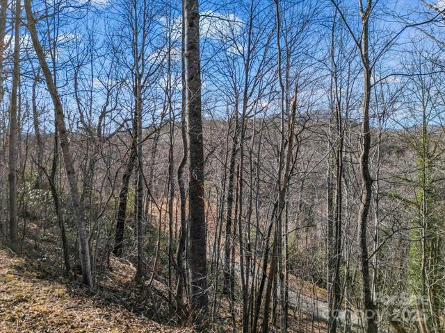 0000 Holmes Road, Lake Lure, NC 28746