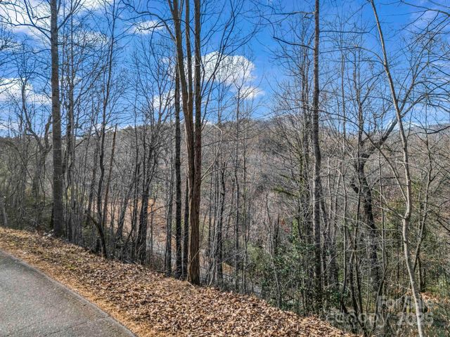0000 Holmes Road, Lake Lure, NC 28746