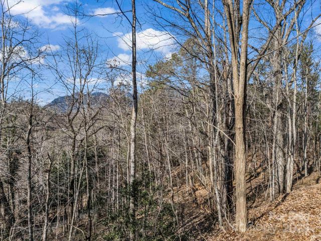 0000 Holmes Road, Lake Lure, NC 28746