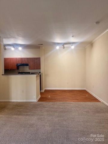 700 Vista Lake Drive 004, Candler, NC 28715