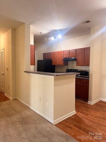 700 Vista Lake Drive 004, Candler, NC 28715