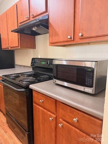 700 Vista Lake Drive 004, Candler, NC 28715