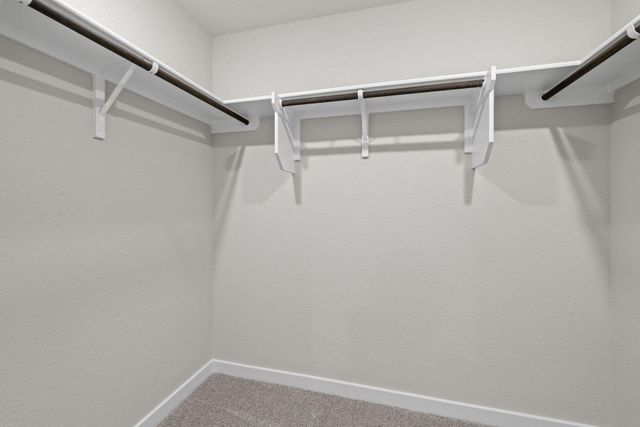 252 Little Green TRL, Jarrell, TX 76537