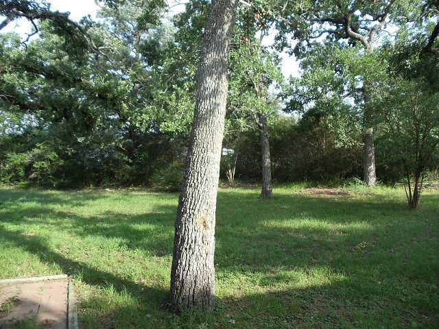 11064 North Dowling Road, College Station, TX 77845