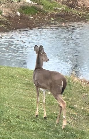 4301 Carnell Drive, Clearcreek Twp, OH 45036