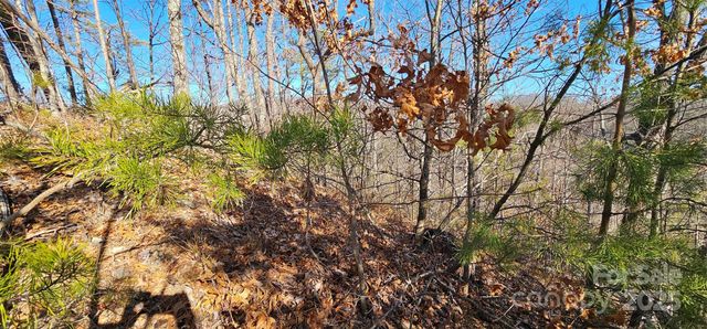 7092 SilverCreek Lane 24, Morganton, NC 28655