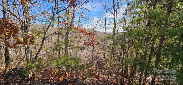 7092 SilverCreek Lane 24, Morganton, NC 28655