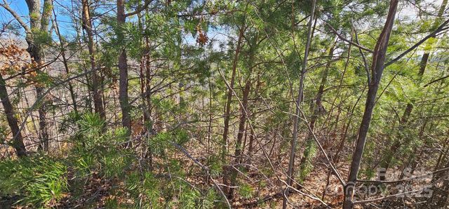 7092 SilverCreek Lane 24, Morganton, NC 28655