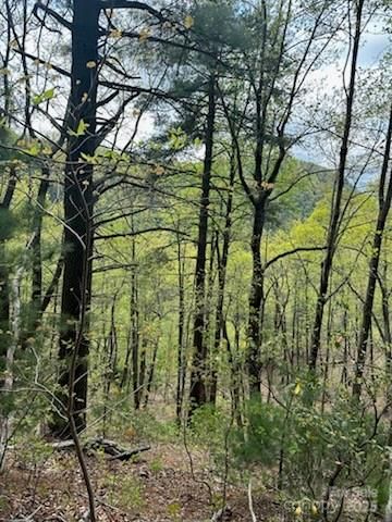 7092 SilverCreek Lane 24, Morganton, NC 28655