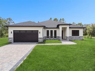 19120 PALMVIEW STREET, Orlando, FL 32833
