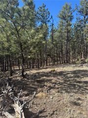 642 Matterhorn Drive, Florissant, CO 80816