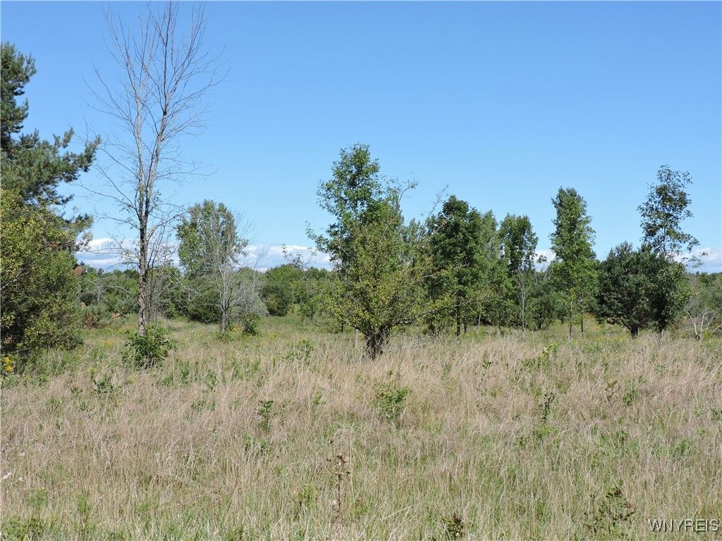 VL 122 Sturgeon Point Road, Evans, NY 14047