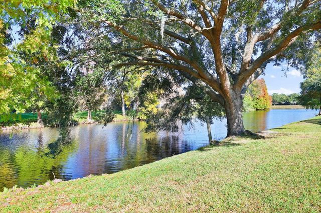 10345 LIGHTNER BRIDGE DRIVE, Tampa, FL 33626