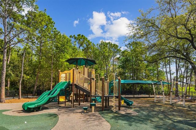 10345 LIGHTNER BRIDGE DRIVE, Tampa, FL 33626