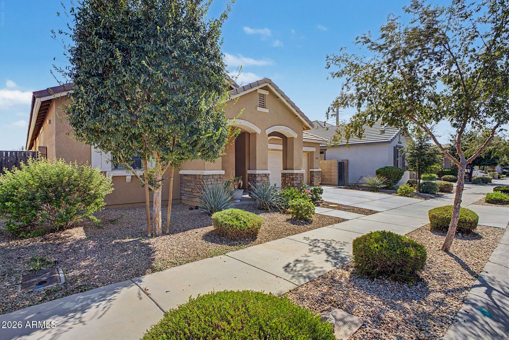 22475 E CALLE DE FLORES --, Queen Creek, AZ 85142 — photo 5
