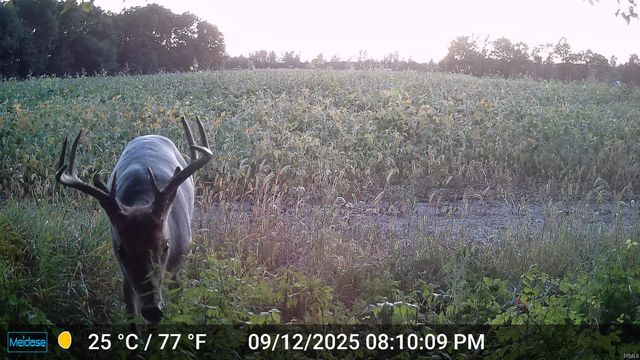 3302 N 200 W, Warsaw, IN 46582