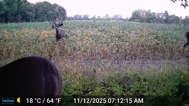 3302 N 200 W, Warsaw, IN 46582