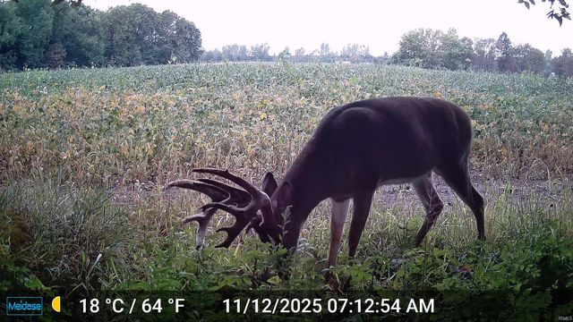 3302 N 200 W, Warsaw, IN 46582