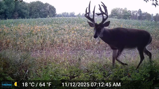 3302 N 200 W, Warsaw, IN 46582