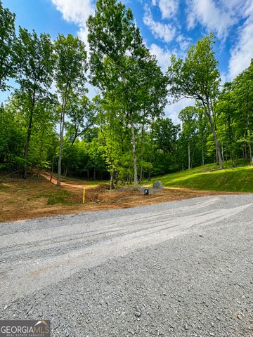 437 Hall, Franklin, GA 30217