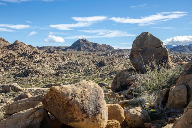 7201 Alturas Drive, Joshua Tree, CA 92252