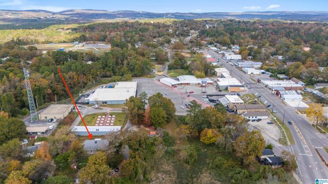 107 BLUFF STREET, Warrior, AL 35180