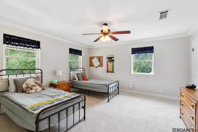 8196 Wildwood Dr, Denham Springs, LA 70706