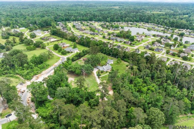 8196 Wildwood Dr, Denham Springs, LA 70706