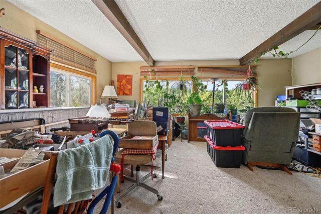2659 Edlowe Road, Woodland Park, CO 80863