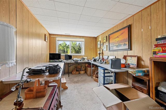 2659 Edlowe Road, Woodland Park, CO 80863