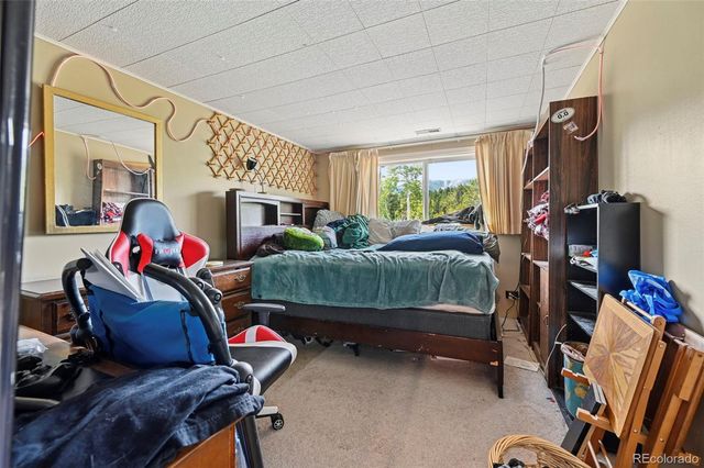 2659 Edlowe Road, Woodland Park, CO 80863